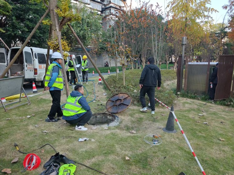 750 1 (2).jpg 750 1 (2).jpg