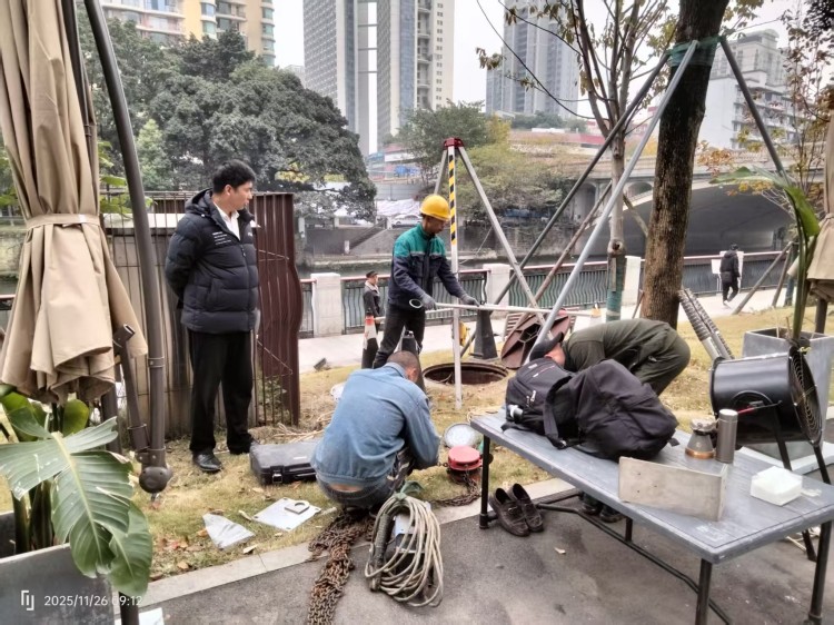 750 1 (1).jpg 750 1 (1).jpg